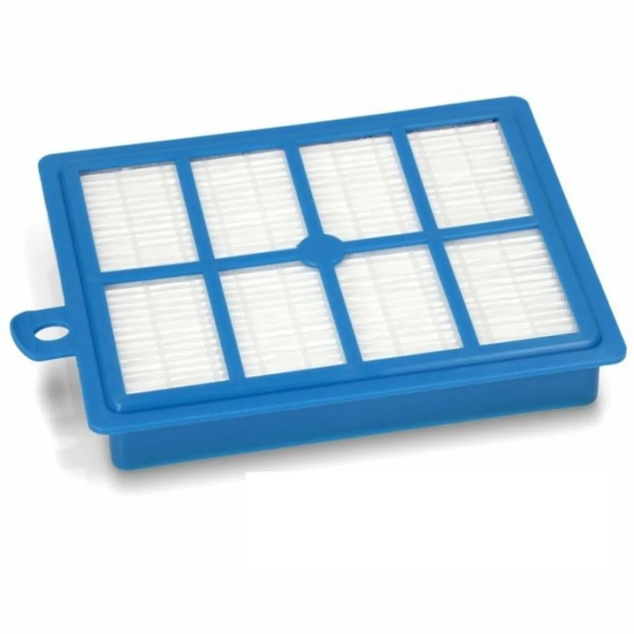 ELECTROLUX FILTRO HEPA ASPIRAPOLVERE BOLIDO CLAIRO ERGOSPACE EXCELLIO 9001677682