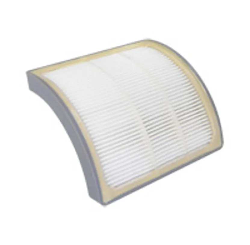 FILTRO HEPA ASPIRAPOLVERE DE LONGHI XLF1200 1300 E 1500E 1600PE