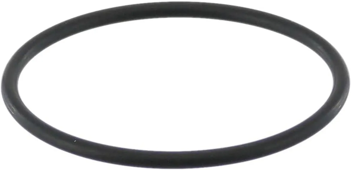 GUARNIZIONE SILICONE CALDAIA MACCHINA CAFFE GAGGIA CAREZZA EVOLUTION BABY 70mm